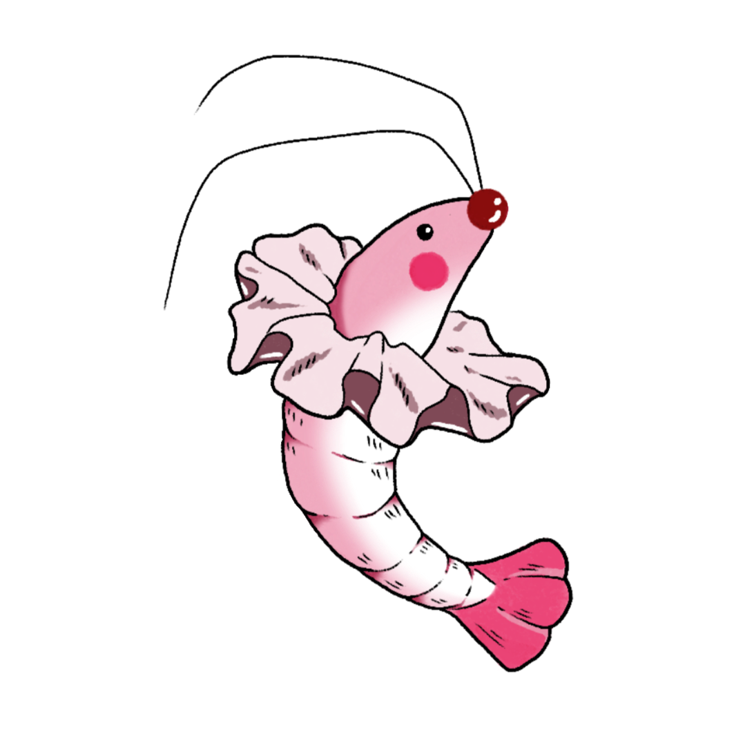 shimp